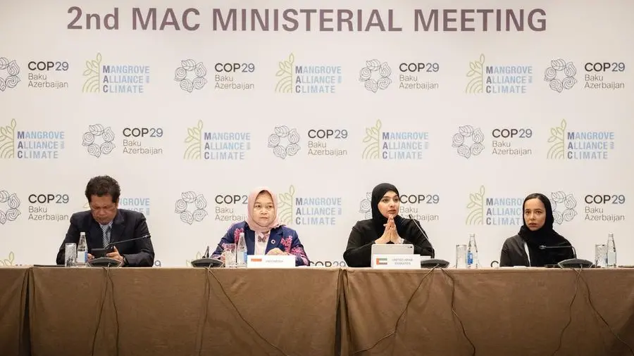 UAE unveils Mangrove Alliance for Climate Strategy 2031 at COP29