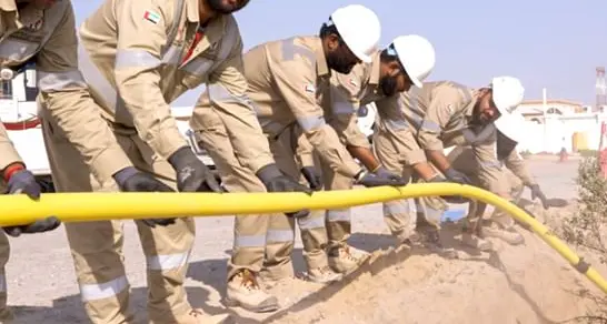 SEWA completes natural gas network in Sharjah's Al Hamriyah