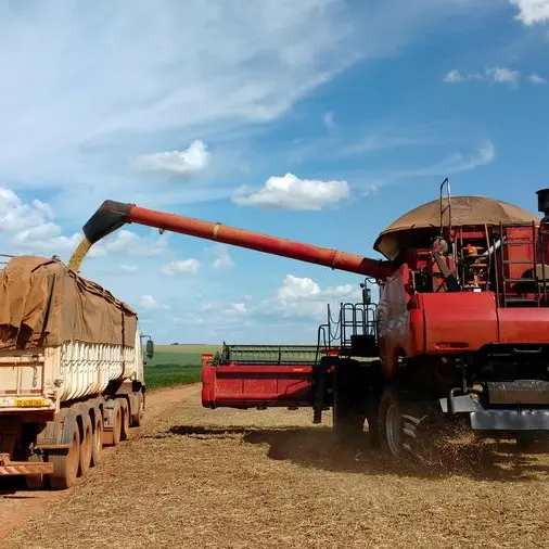 Corn and soybeans at multi-month highs after USDA cuts supply estimates