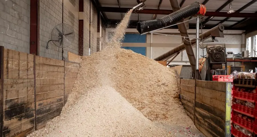 UAE’s unsold bread could help reduce reliance on imported livestock feed