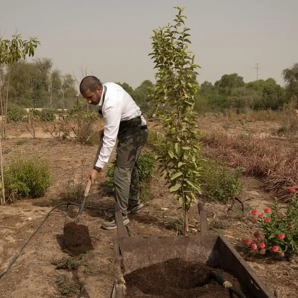ADQ mulls 35% stake in France’s Limagrain Vegetable Seeds