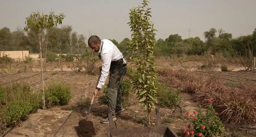 ADQ mulls 35% stake in France’s Limagrain Vegetable Seeds