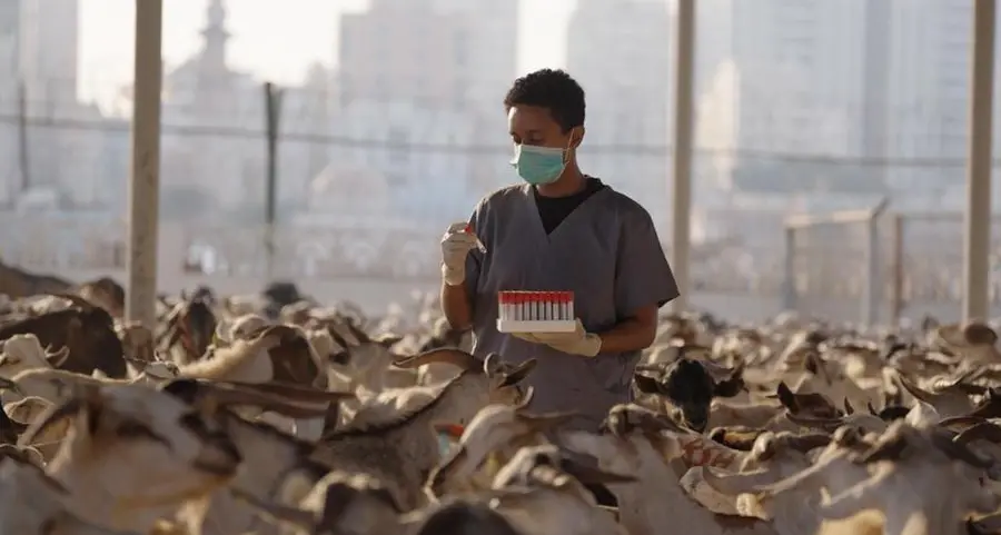 MOCCAE confirms full readiness and uninterrupted flow of food supplies in preparation for Eid Al Fitr