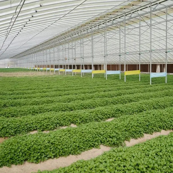 The National Agriculture Center and Sheraa launch Agriboost 2026 to advance sustainable agriculture solutions