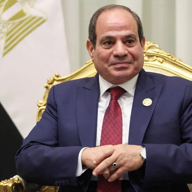 Al-Sisi to World Bank chief: Egypt loses $10bln in Suez Canal revenues amid regional tensions