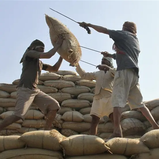 تجار: العراق يشتري 100 ألف طن من الأرز معظمه من الهند