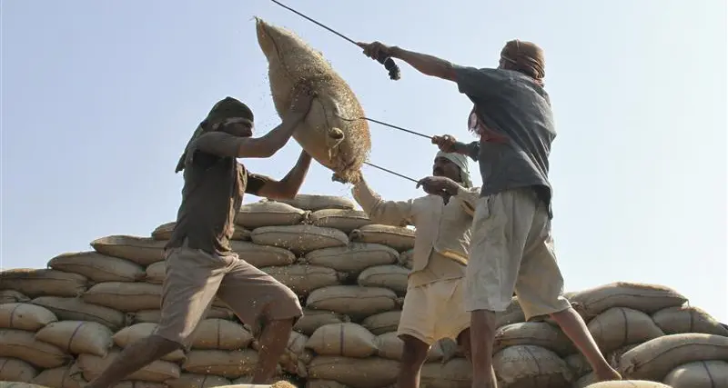 تجار: العراق يشتري 100 ألف طن من الأرز معظمه من الهند