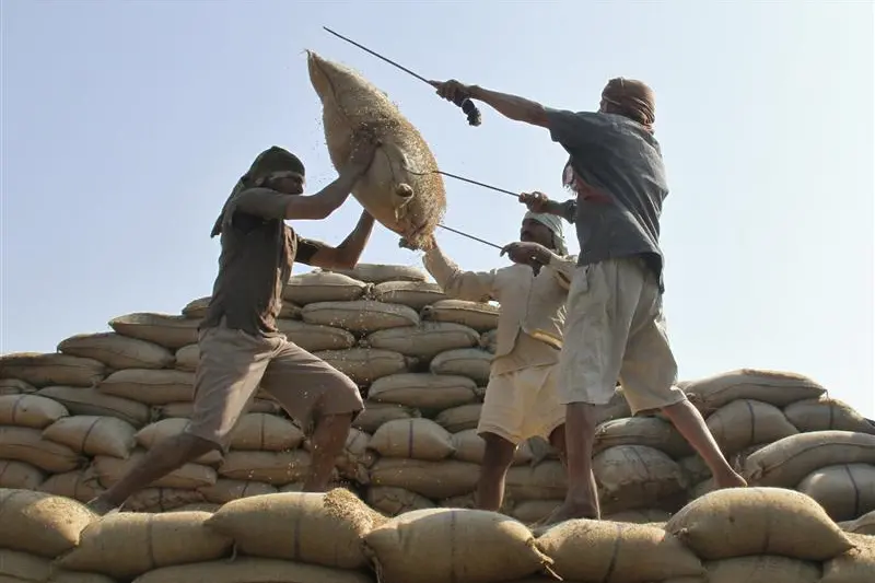 مستوردو الأرز بالسعودية: ارتفاع المخزون يتراجع بحجم الاستيراد 10 %