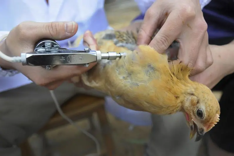 Reuters Images/China Daily China Daily Information Corp - CDIC 