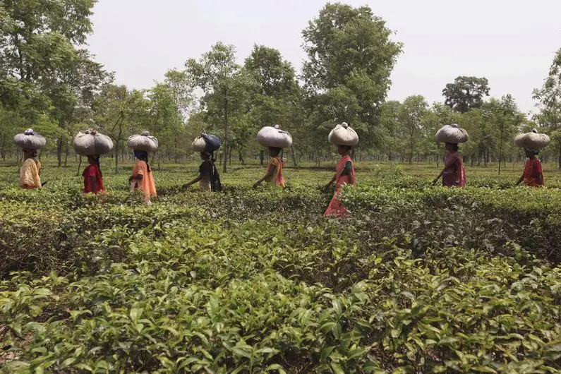Reuters Images/Rupak De Chowdhuri