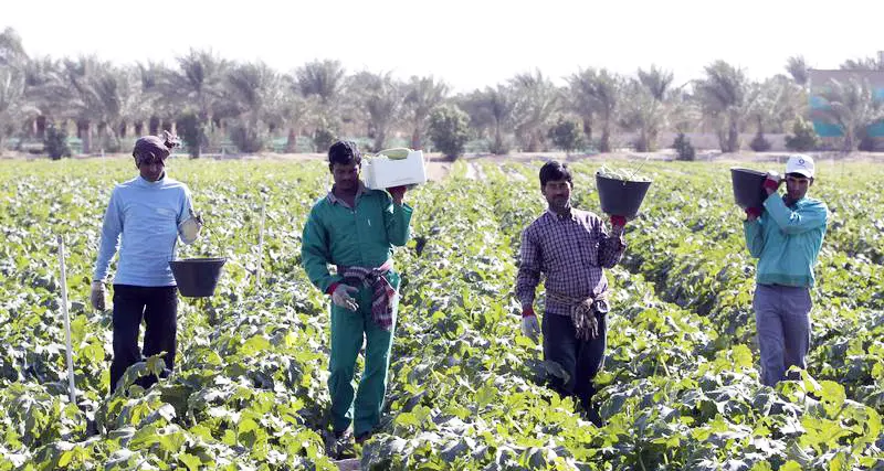 Ministry signs agreement on farm research