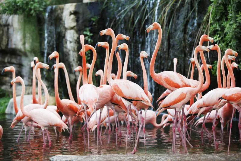 Reuters Images/Ahmed Jadallah