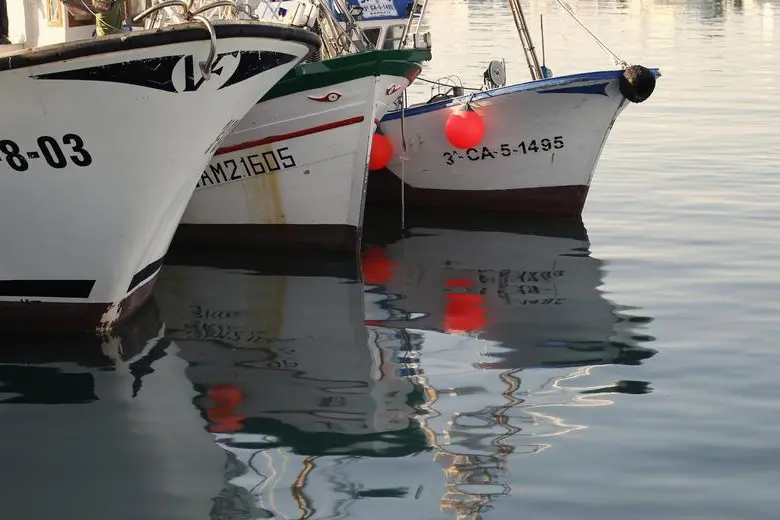 المفوضية الأوروبية تطلق برنامجا للنهوض بقطاع الصيد البحري في الجزائر
