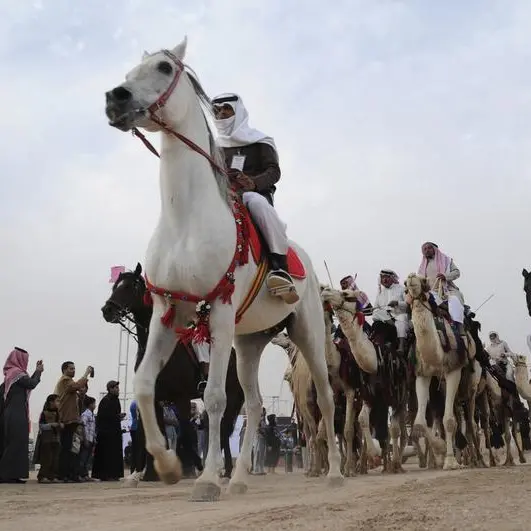 المملكة تتصدر الإنتاج العربي للخيول