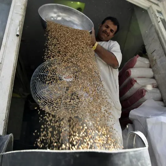 السعودية تعلن شراء 315 ألف طن من القمح الصلد في مناقصة