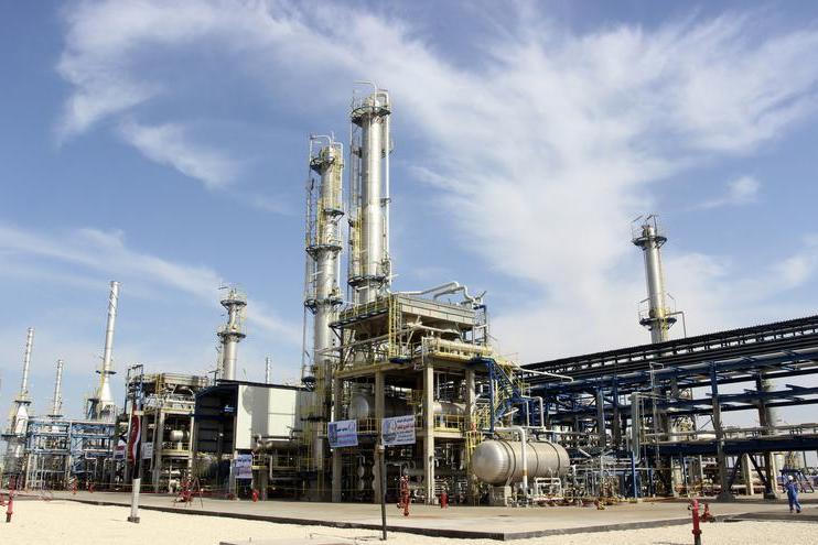 Egypt plans $4bln petrochemical complex in Suez: minister