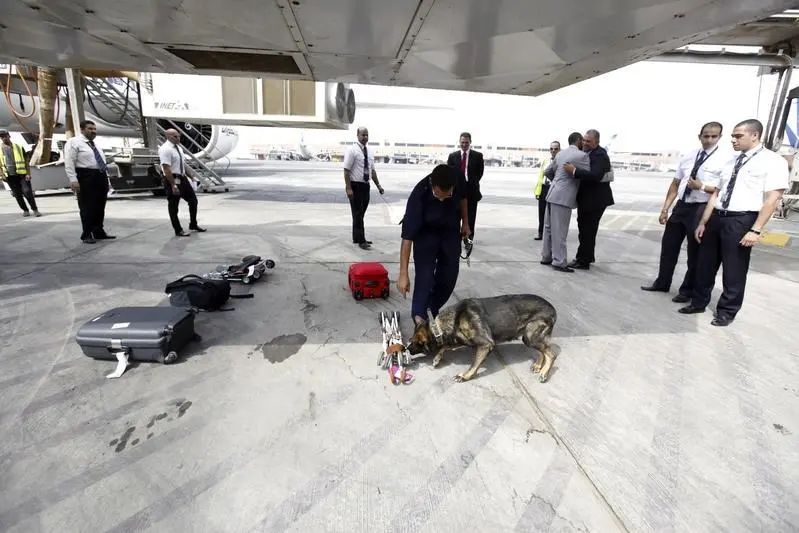 Reuters Images/Mohamed Abd El Ghany