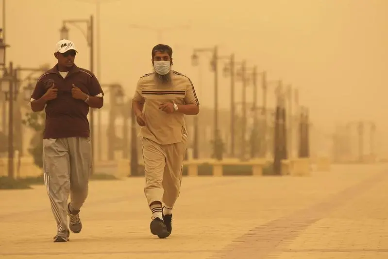 Saudi Arabia sees a decline in dust storms thanks to environmental projects