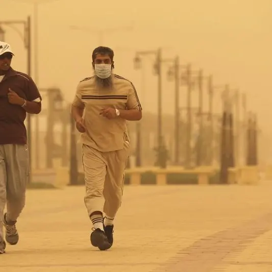 Saudi Arabia records lowest dust storm levels in more than 25 years