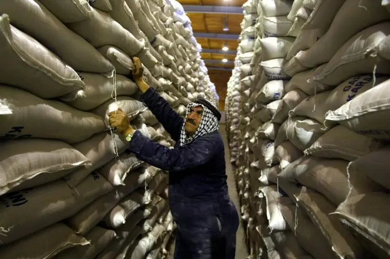 الأردن يطرح عطاء لشراء 100 ألف طن من القمح الصلد