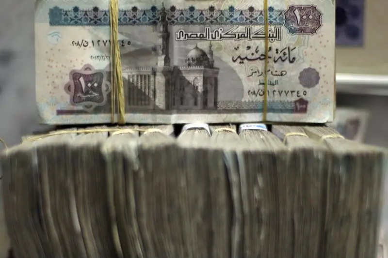 Egypt\\'s pound notes are pictured in stacks of 100 as employees count money at an exchange office in downtown Cairo June 5, 2014. Amr Abdallah Dalsh