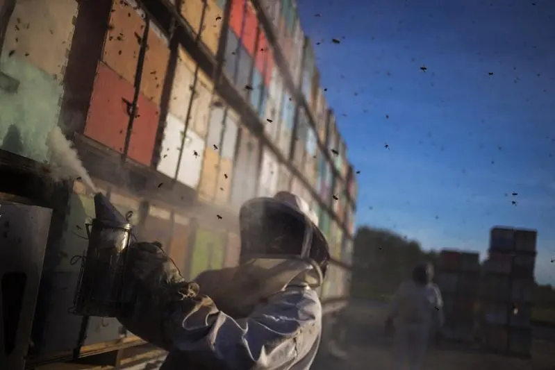 Reuters Images/Adrees Latif  