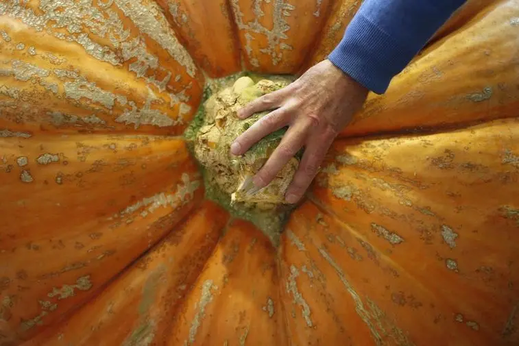 Reuters Images/Suzanne Plunkett 