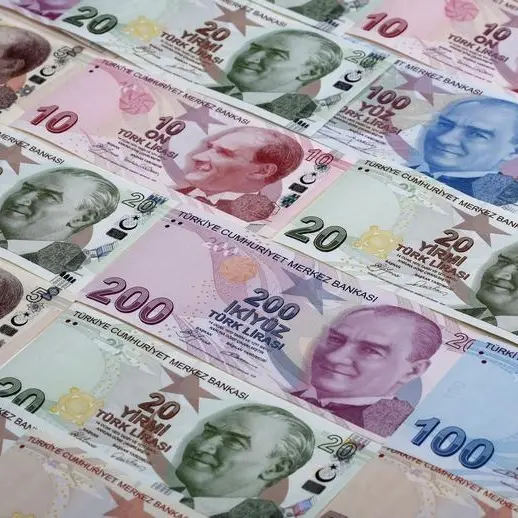 Turkey's Wealth Fund borrows $1.19bln without treasury guarantee