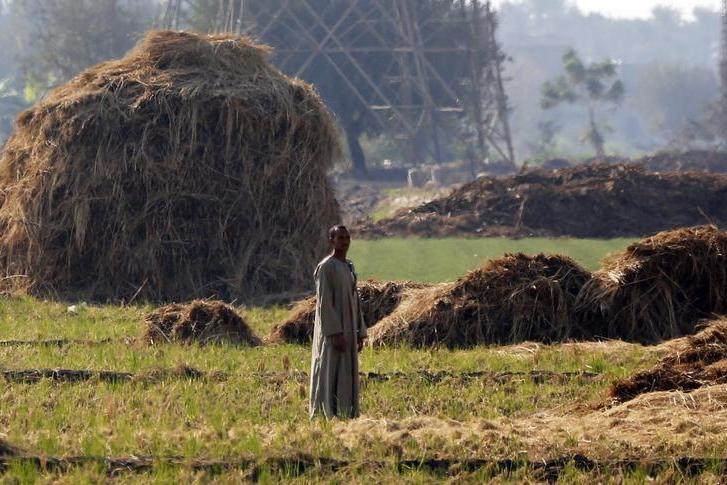 Egypt nears completion of $404mln MDF plant in Beheira