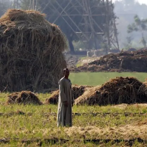 Egypt marks Earth Day 2026, highlights progress toward green economy