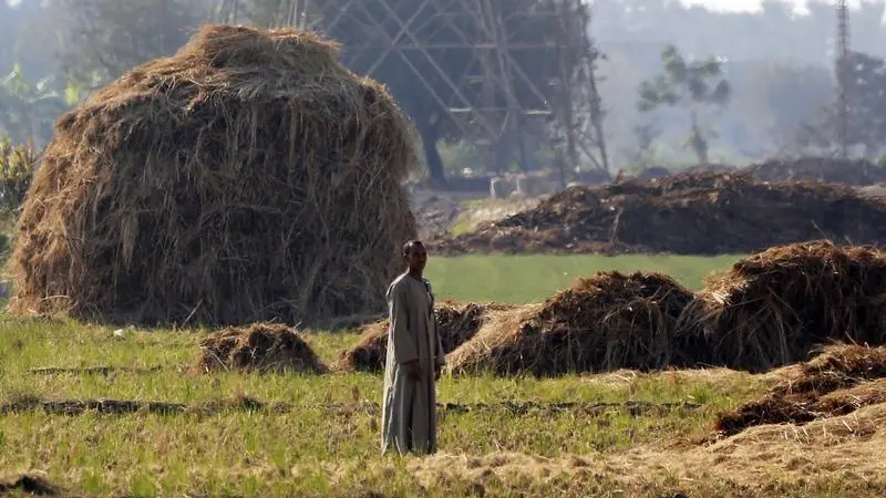Egypt: MSMEDA injects $28mln into green economy projects since 2014