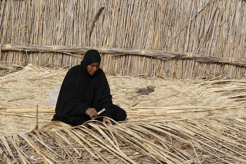 Iraqi govt, UN agencies begin training women to farm