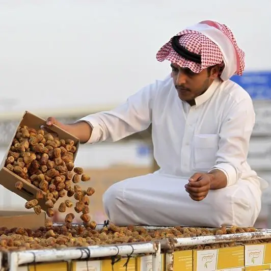Date Palm cultivation in AlUla sees increased productivity