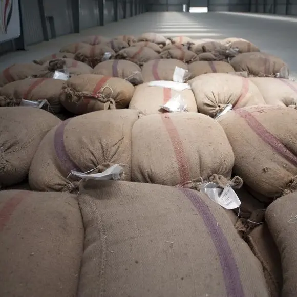 صناعة الحبوب: صوامع القمح استقبلت 5 ملايين طن العام الجارى بـ24 مليار جنيه