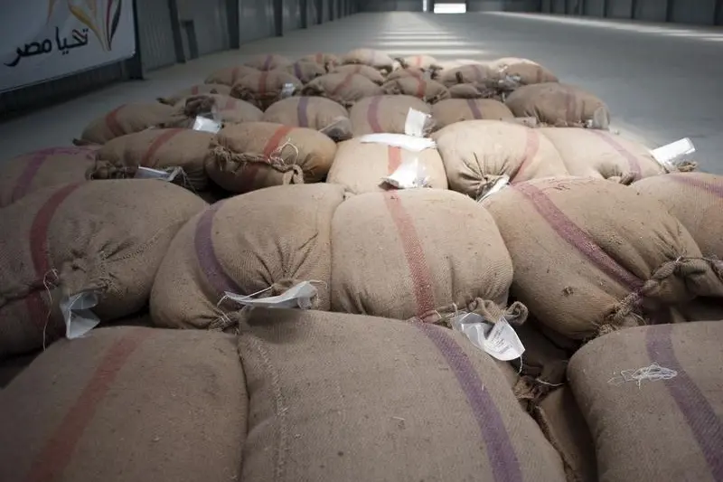 صناعة الحبوب: صوامع القمح استقبلت 5 ملايين طن العام الجارى بـ24 مليار جنيه