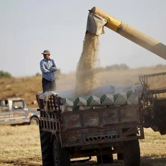 مصدر حكومي: سوريا تشتري 200 ألف طن من القمح الروسي