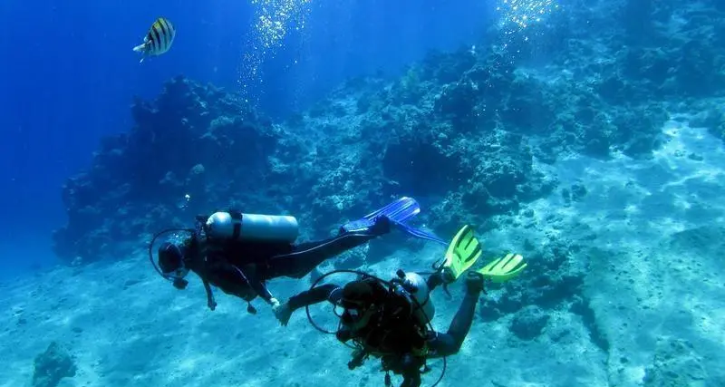 دراسة: 60 % من الشعب المرجانية بالأردن مهددة بالانقراض