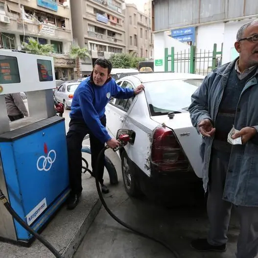 Egypt aims to keep diesel prices subsidised, PM says