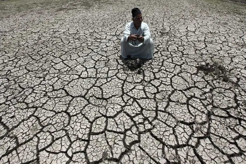 Mohamed Abd El Ghany