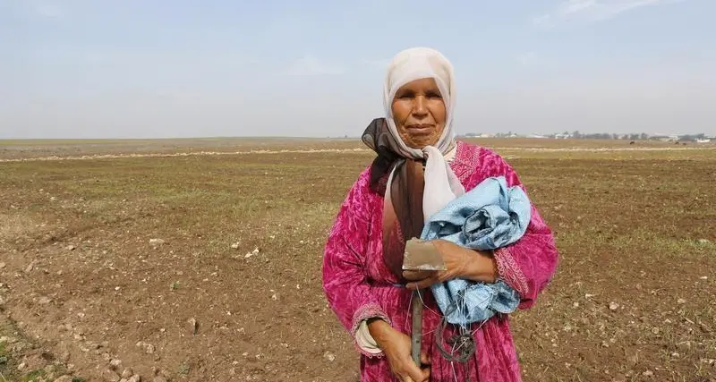 المغرب يتوقع انخفاض محصول الحبوب 70% بعد مروره بأسوأ طقس في 30 عاما
