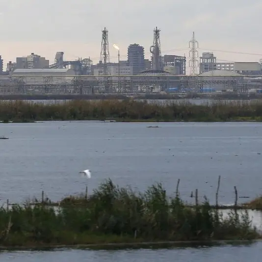 Egypt: AD Ports acquires $279.13mln stake in Alexandria Container