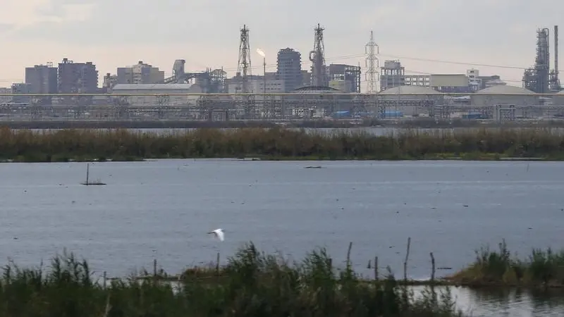 زاوية بودكاست: أسبوع مزدحم بأخبار من مصر