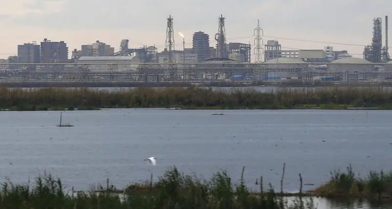 زاوية بودكاست: أسبوع مزدحم بأخبار من مصر