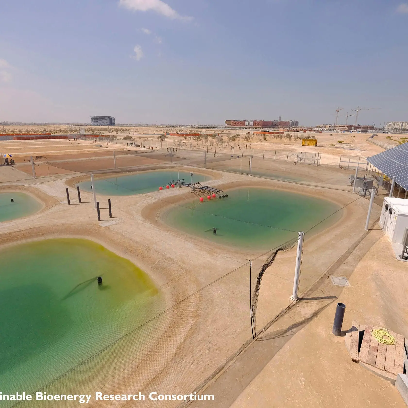 INTERVIEW-Masdar's biojet fuel project takes flight