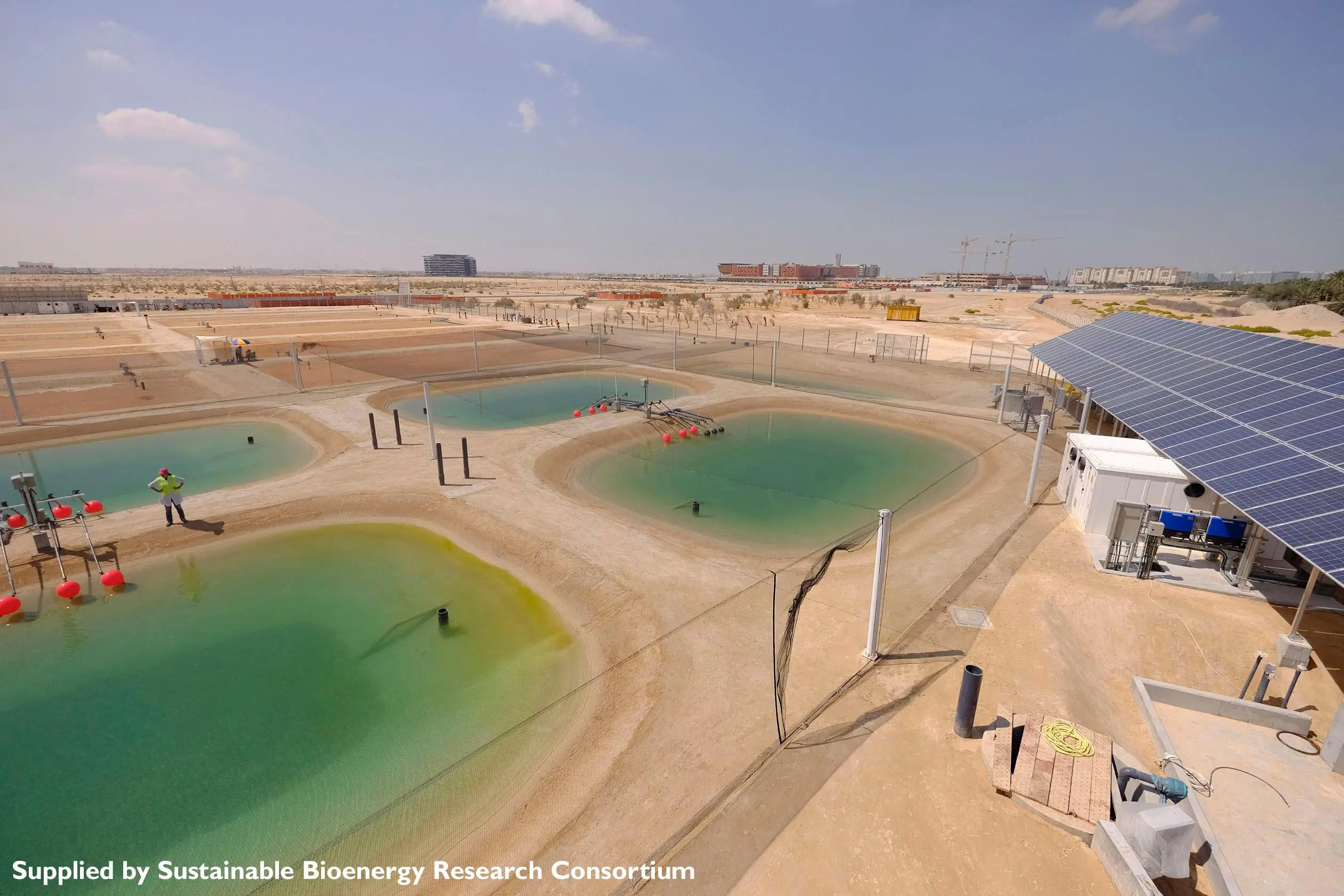 INTERVIEW-Masdar's biojet fuel project takes flight