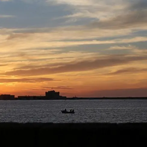 بالم هيلز المصرية تدرس تطوير مشروع في رأس الحكمة.. ما التفاصيل؟