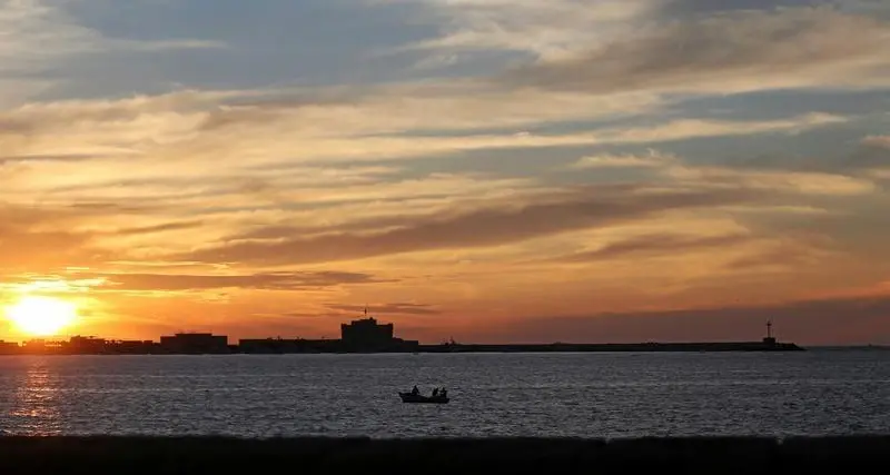 بالم هيلز المصرية تدرس تطوير مشروع في رأس الحكمة.. ما التفاصيل؟