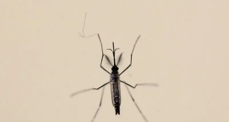 FACTBOX-Why the Zika virus is causing alarm