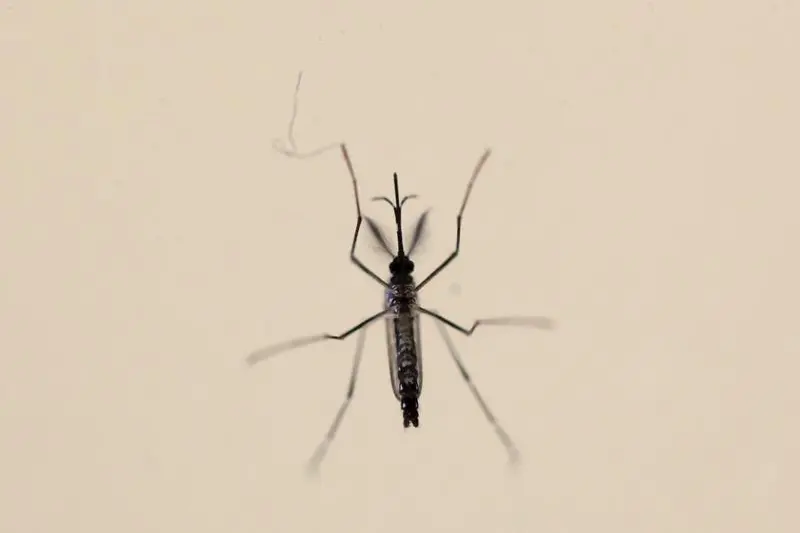 Reuters Images/Alvin Baez  - RTS9ZRP