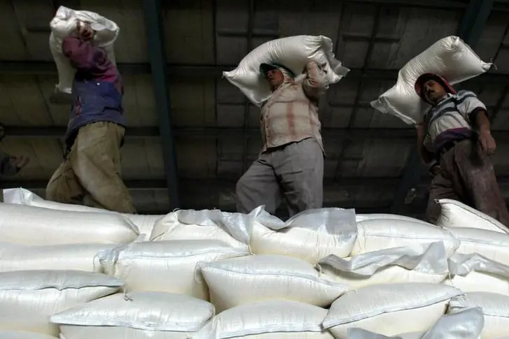 تجار: الأردن يطرح مناقصتين لشراء 100 ألف طن قمحا صلدا ومثلها من الشعير